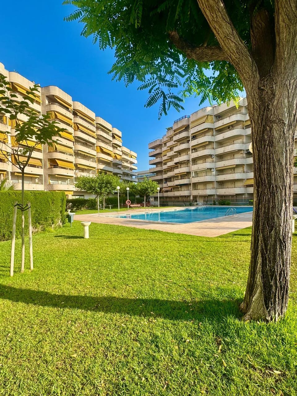 Garden, Garden, Pool view, Swimming pool