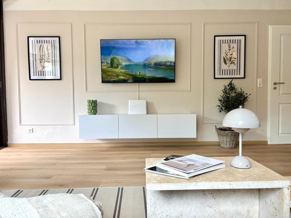 TV and multimedia