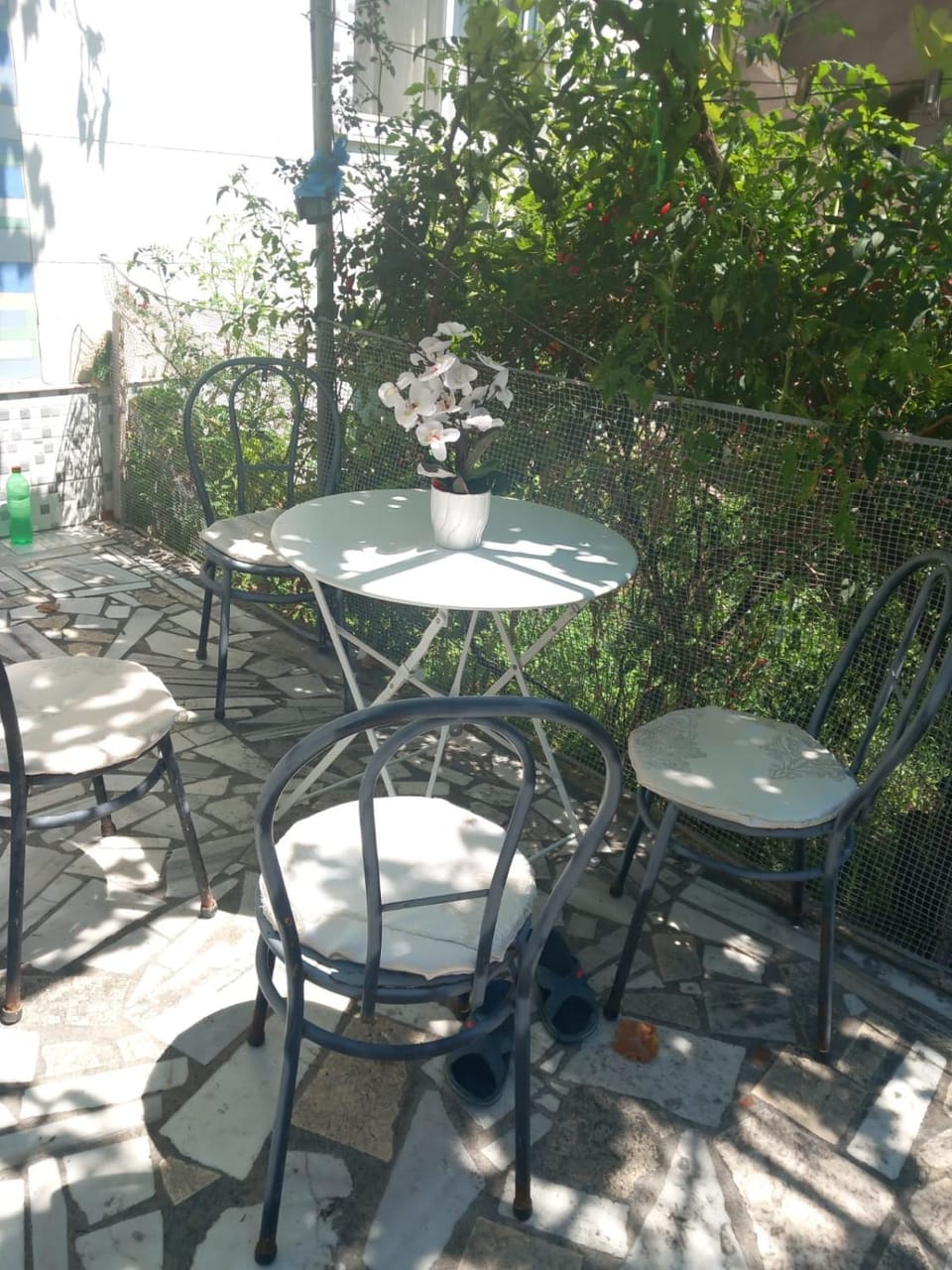 Garden, Balcony/Terrace, Dining area, Garden view