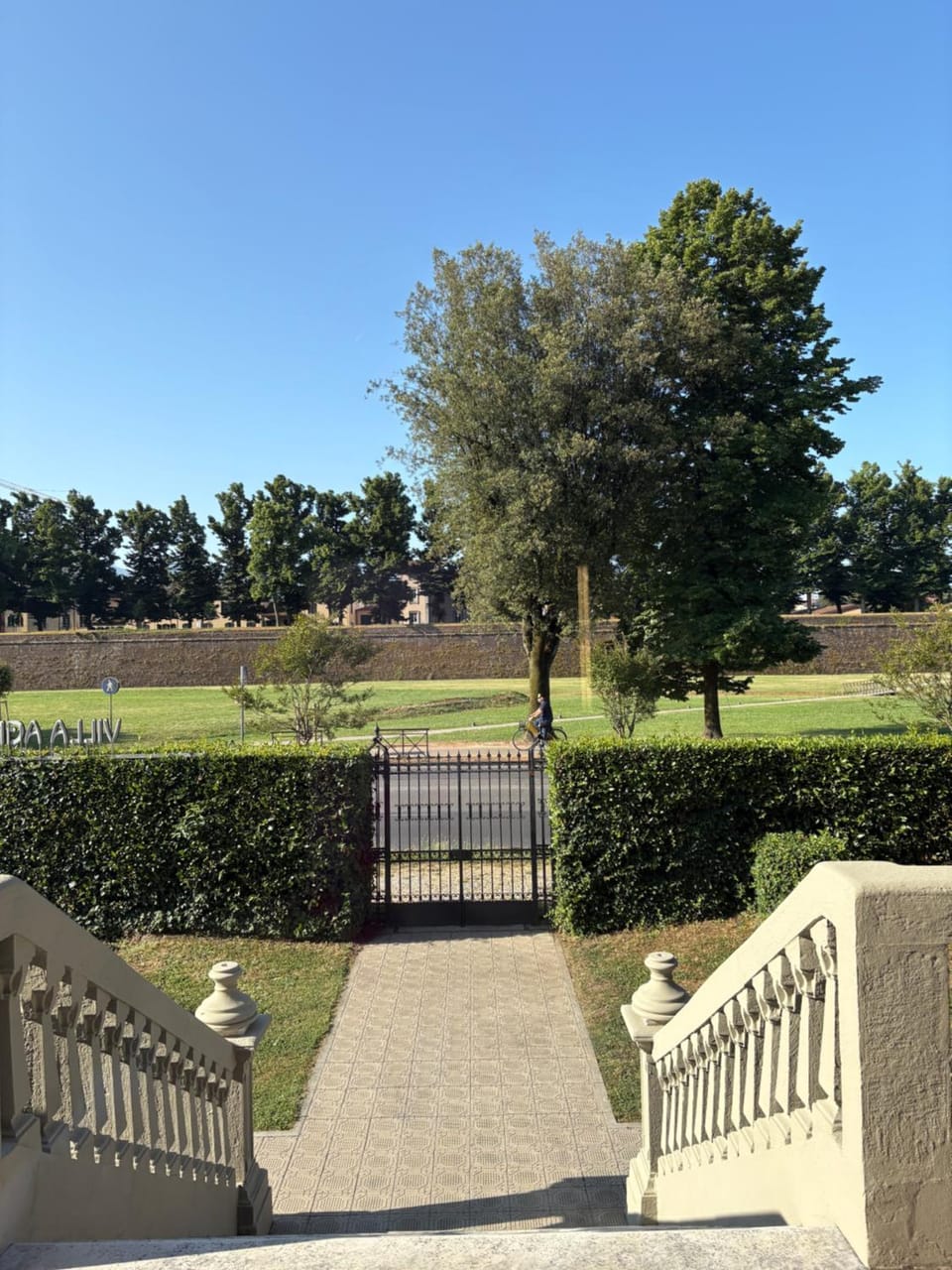 Garden view