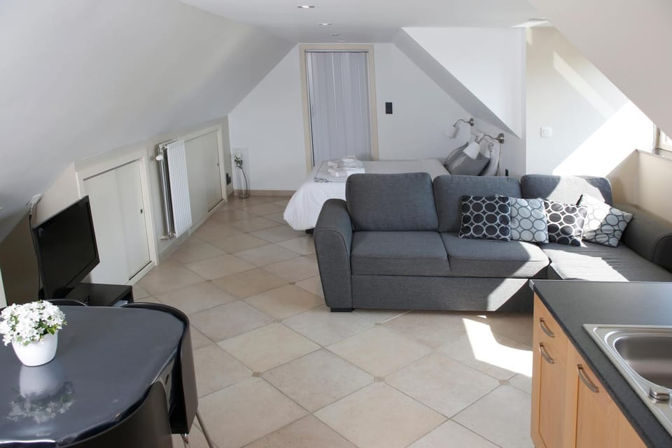 Au Grenier des Coccinelles House in Flanders