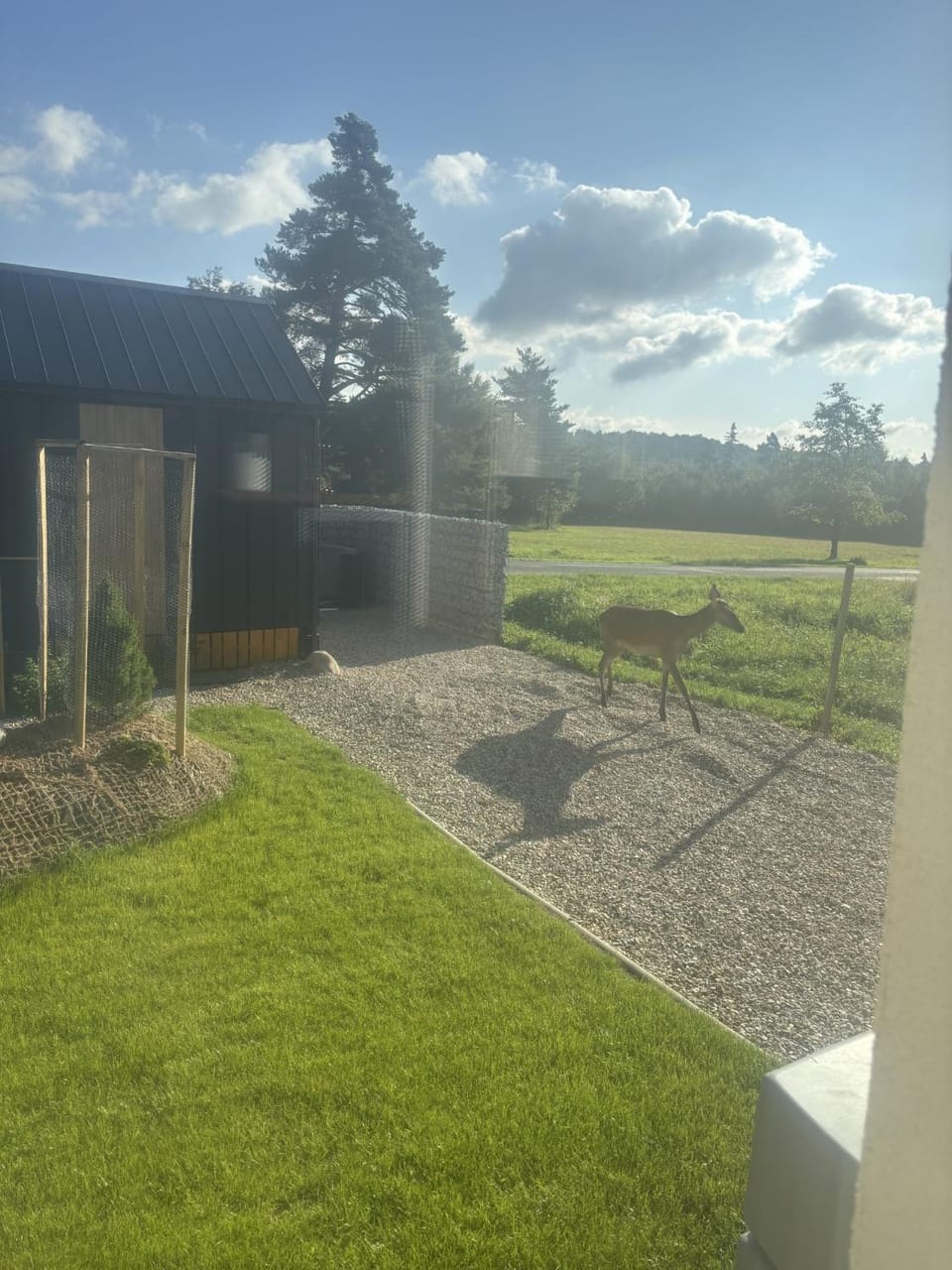 Day, Natural landscape, Garden