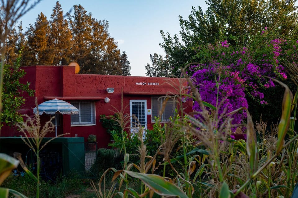 Property building, Day, Garden, Garden view