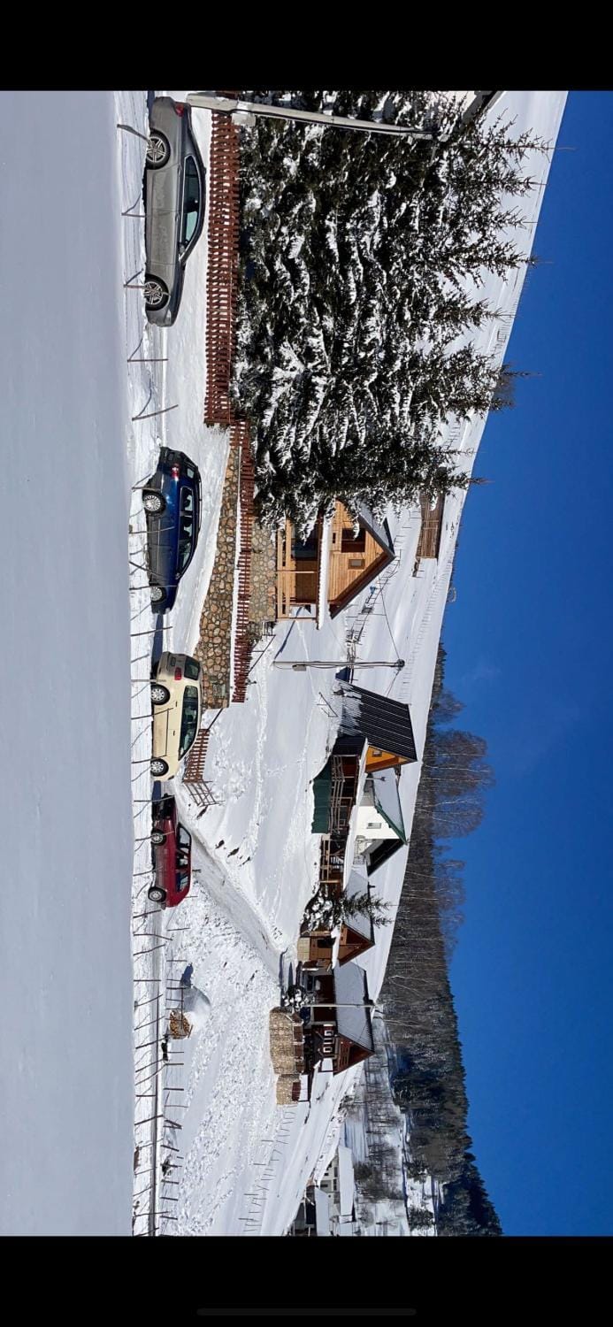Day, Bird's eye view, Winter