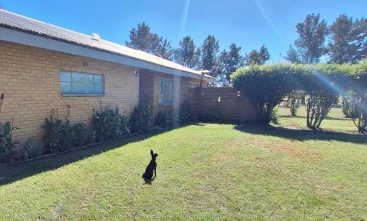 Natural landscape, Garden, Pets, Pets, Garden view, pet friendly