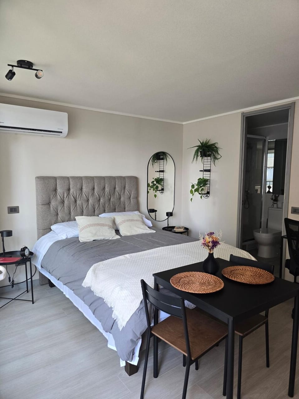 Studio in the heart of Santiago Apartment in Santiago