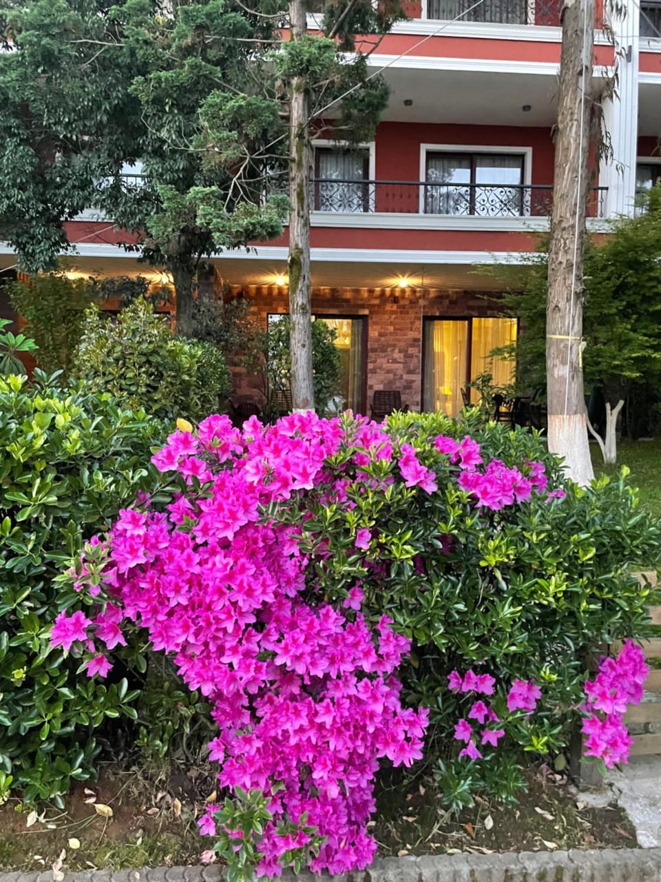 Property building, Garden