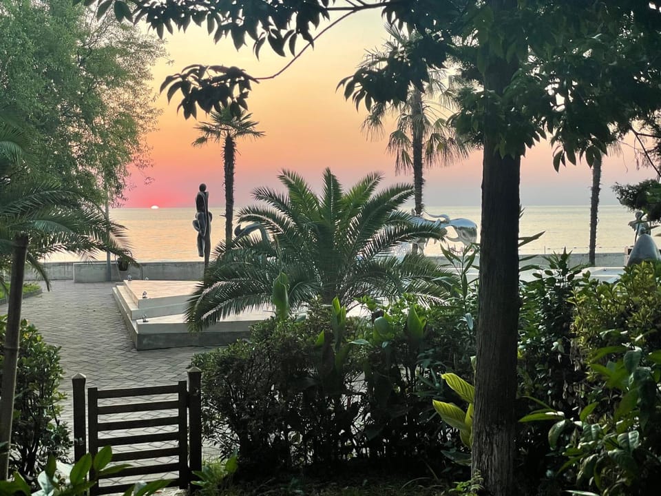 Garden, Garden view, Sunset