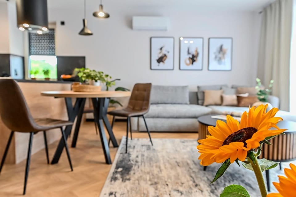 Kitchen or kitchenette, Living room, Seating area, Dining area