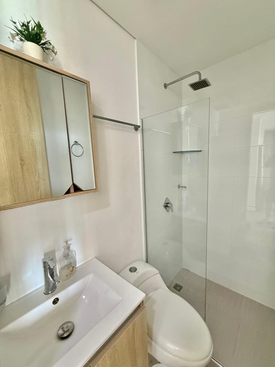 Shower, Toilet, Bathroom, Public Bath