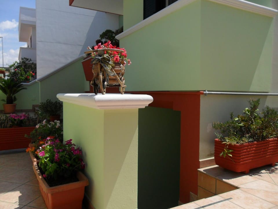 Domus Girasoli House in Apulia