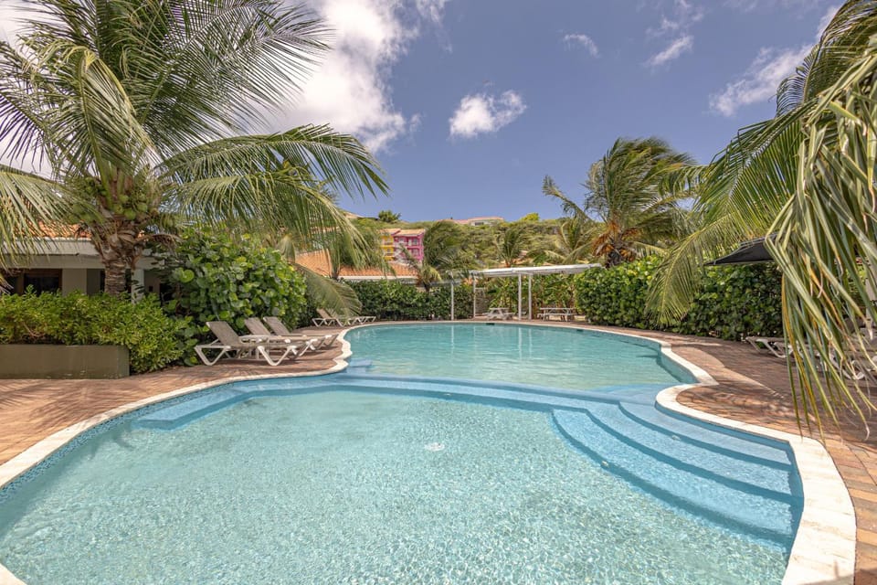 Day, Garden, Garden view, Pool view, Swimming pool, sunbed