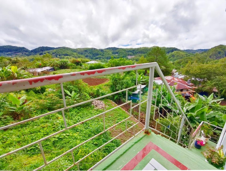 Natural landscape, Garden, Garden view, Mountain view