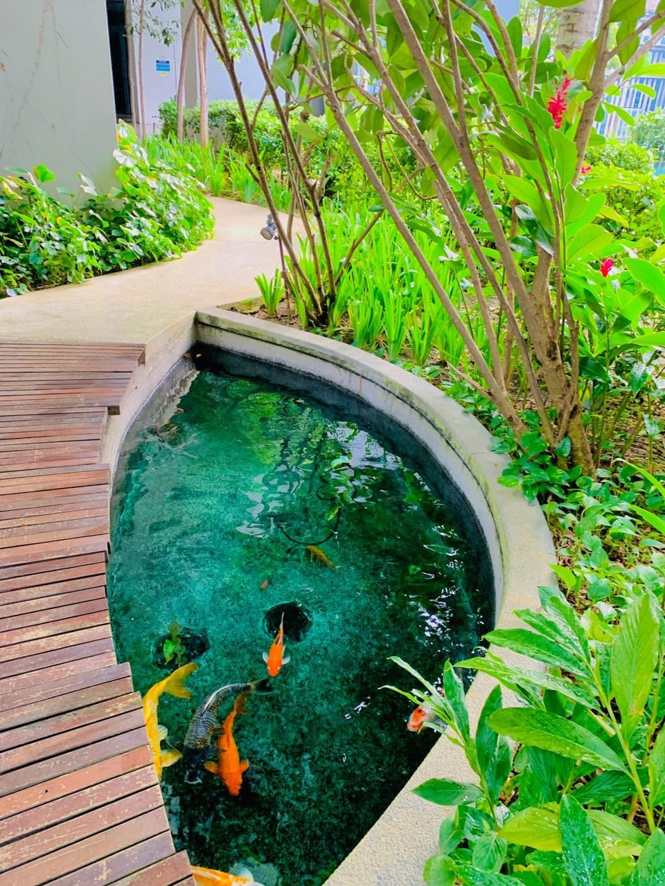 Day, Garden, Garden