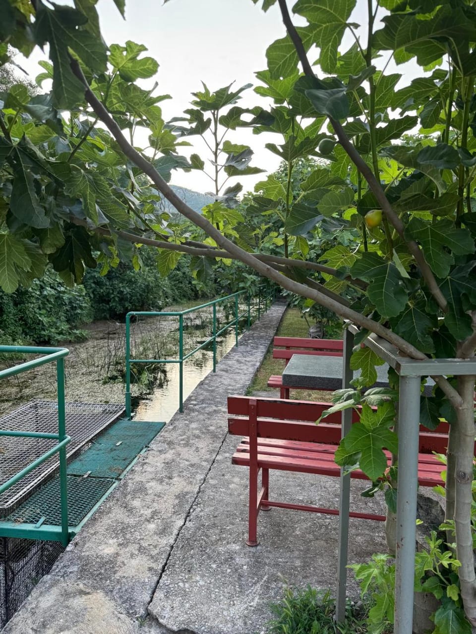 Apartman Pehar Apartment in Federation of Bosnia and Herzegovina