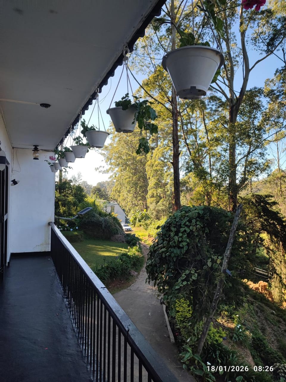 View (from property/room)