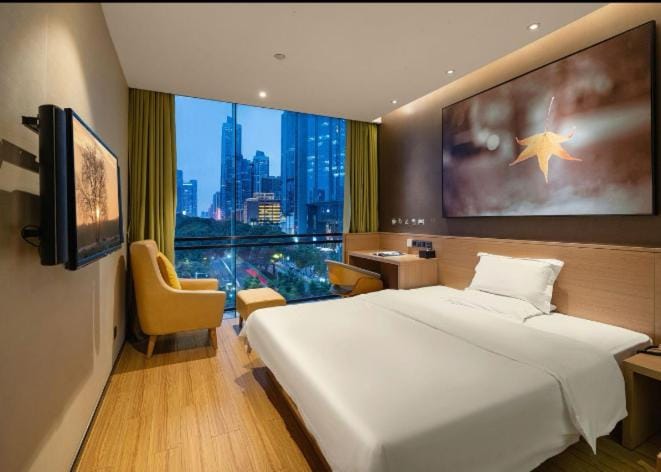 Bed, TV and multimedia, Photo of the whole room