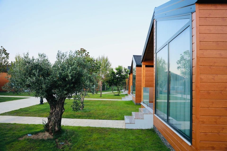 Property building, Garden, Garden view