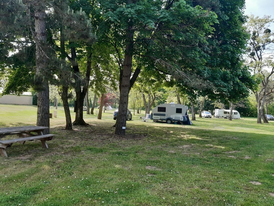 Natural landscape, Garden