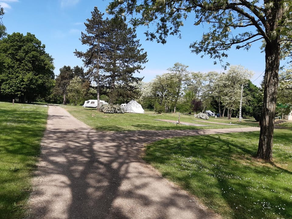 Natural landscape, Garden