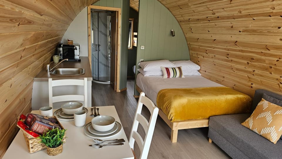 Bed, TV and multimedia, Kitchen or kitchenette, Living room, Seating area, Dining area, Bedroom