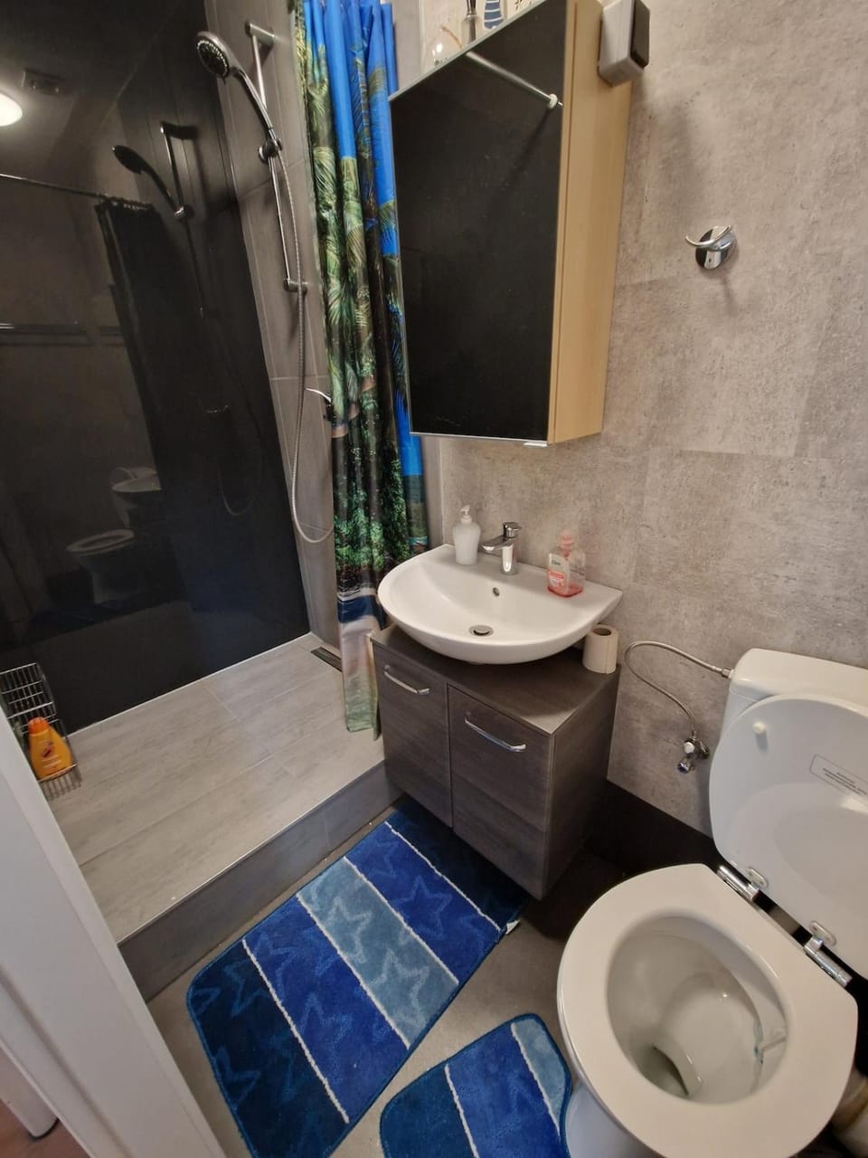 quiet apartment Apartment in Hesse