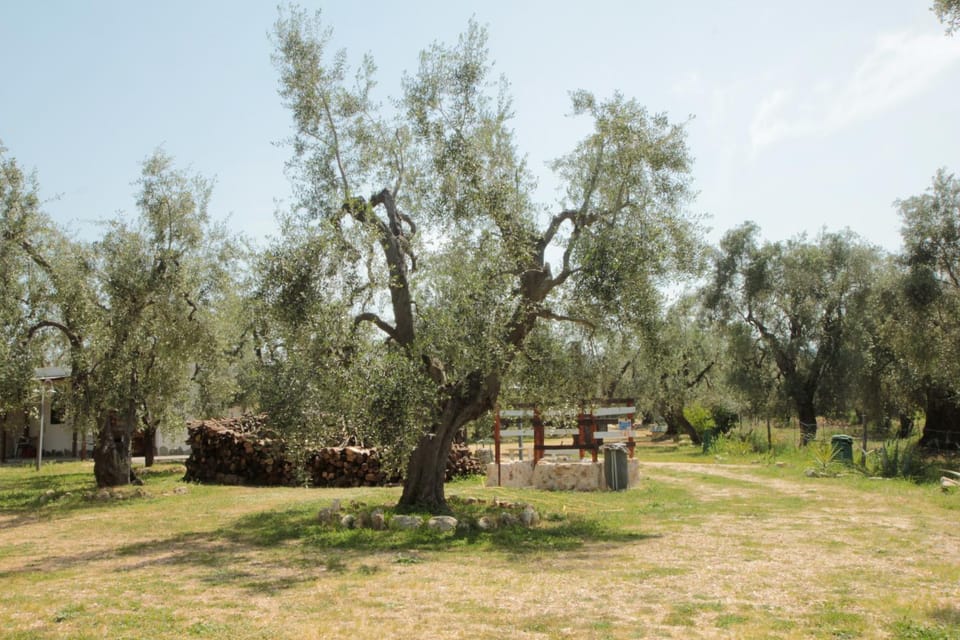 Natural landscape