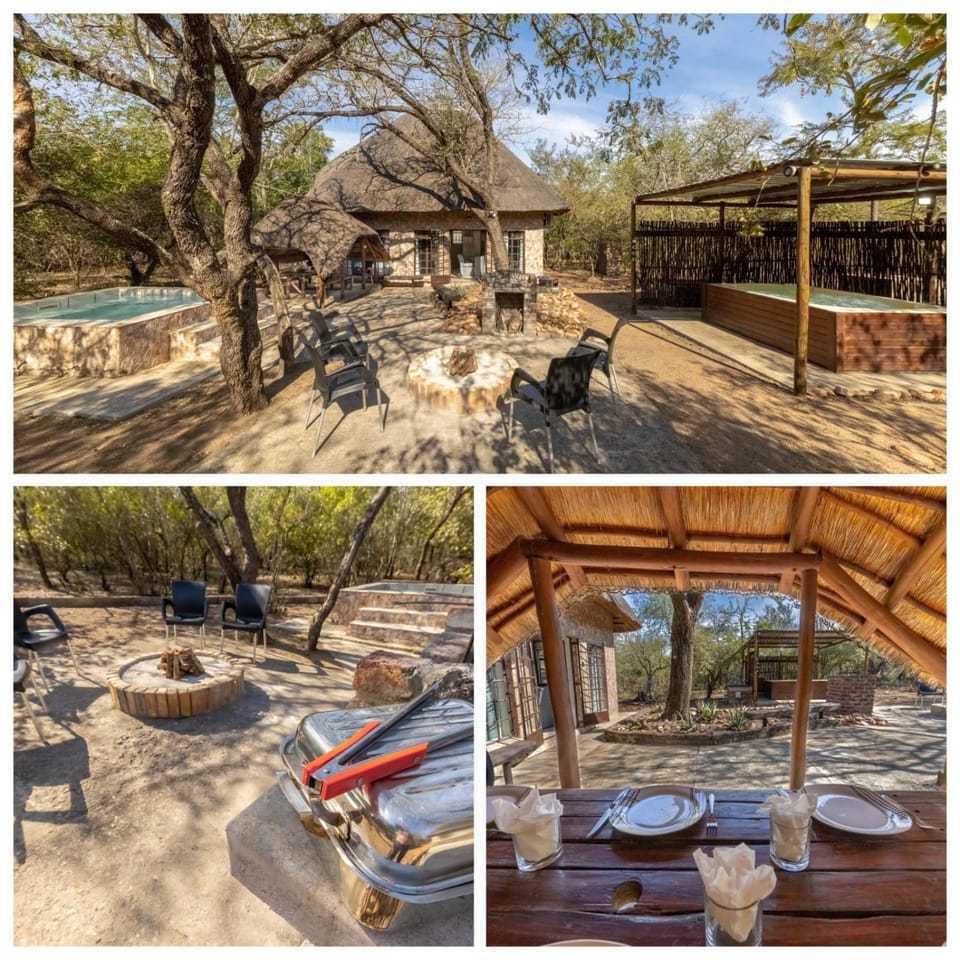 Elephants Hide House in South Africa