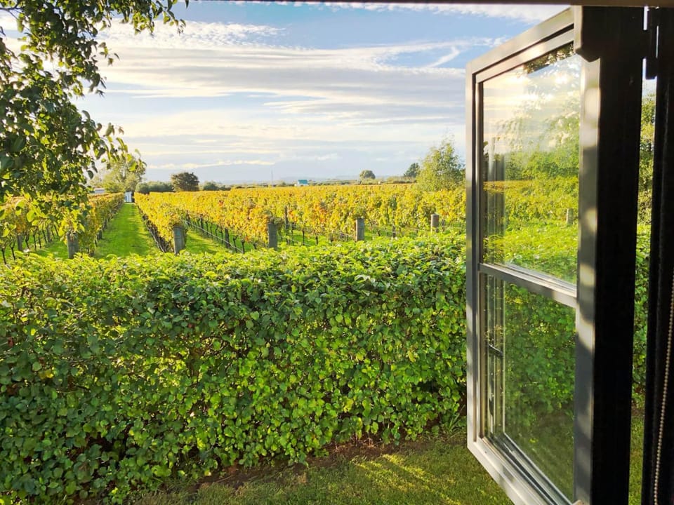Natural landscape, View (from property/room)