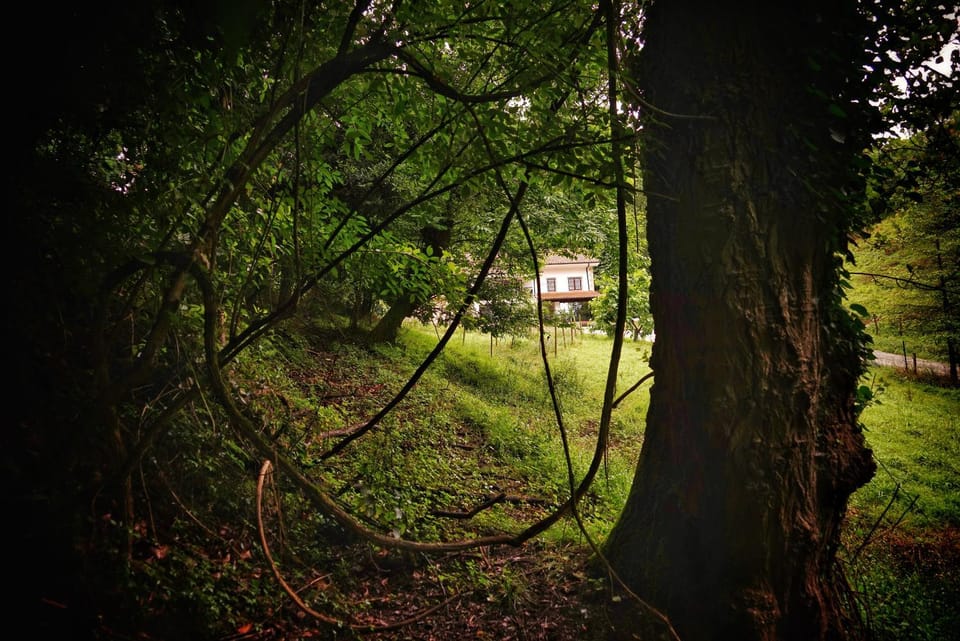 Garden view