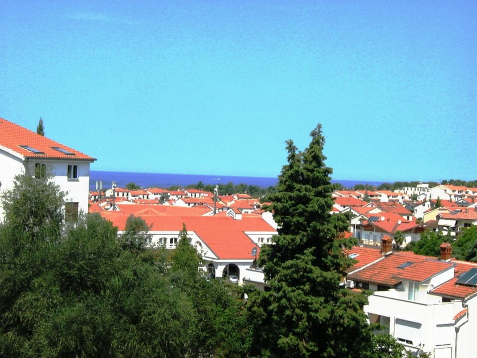 City view, Sea view