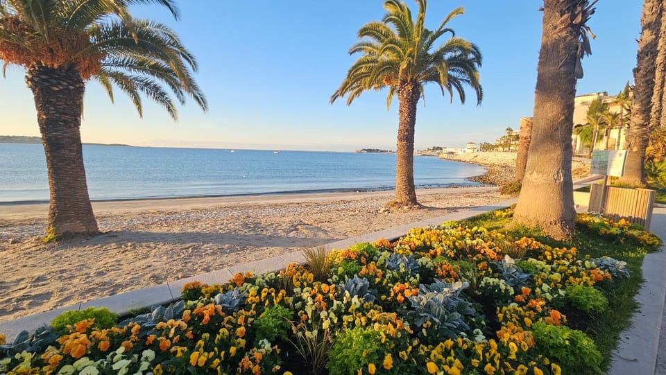 Duplex de 95 m2 sur le port, 17m2 de terrasse,parking Apartment in French Riviera