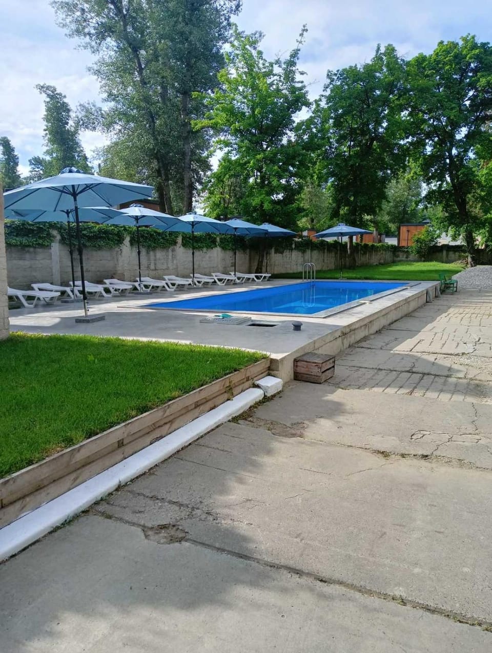 Natural landscape, Pool view, Swimming pool, sunbed
