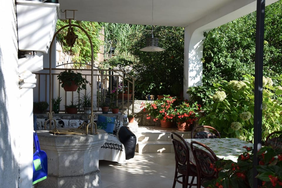 Patio, Garden, Garden view
