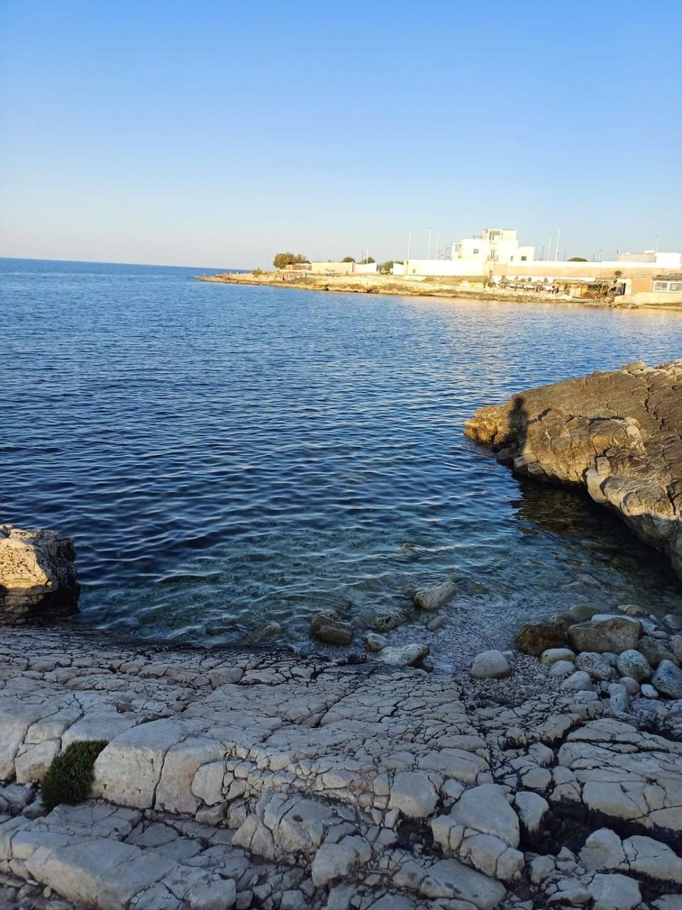 Dany's Home Venus House in Giovinazzo