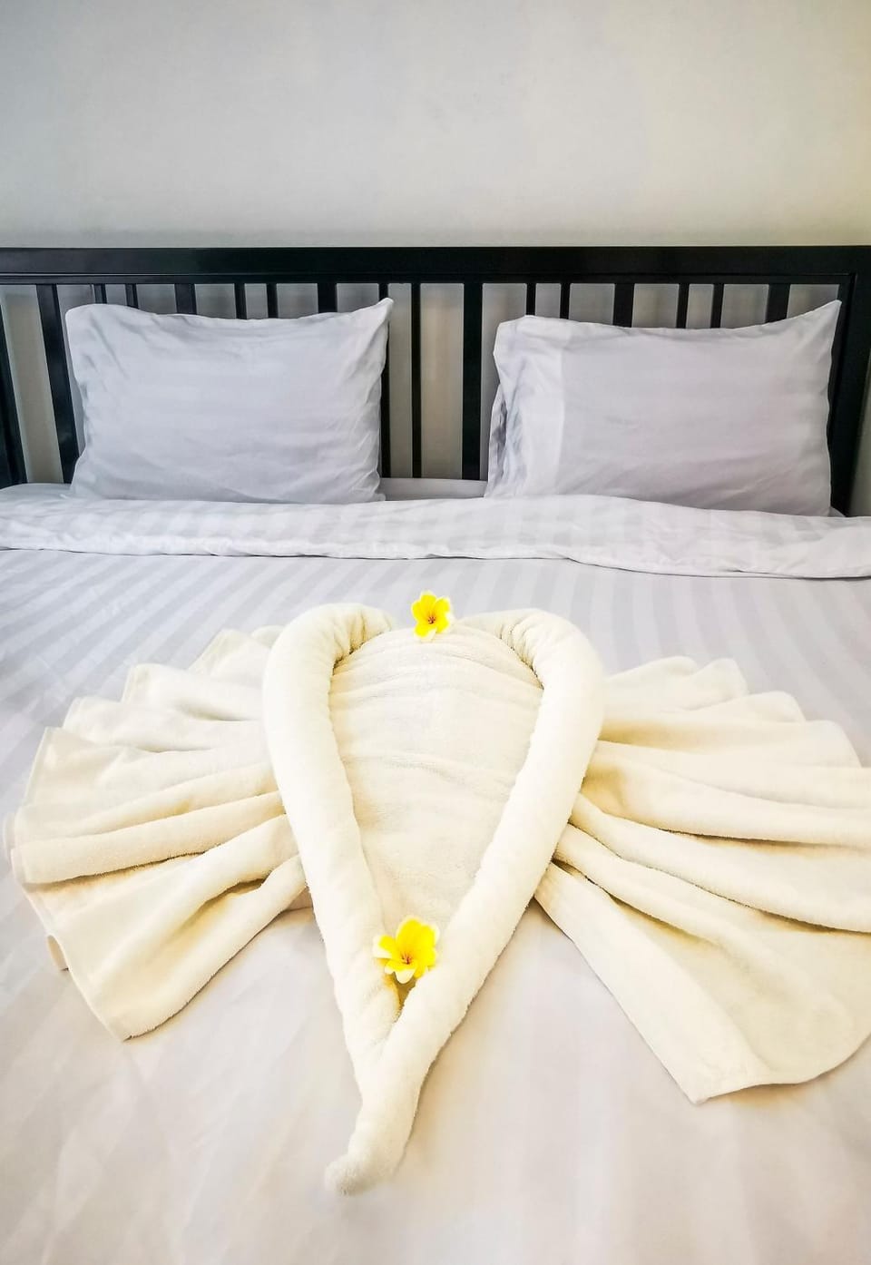 Bed, towels
