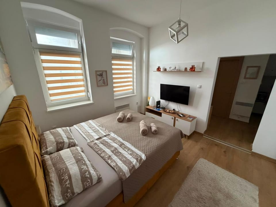 Bed, TV and multimedia, towels
