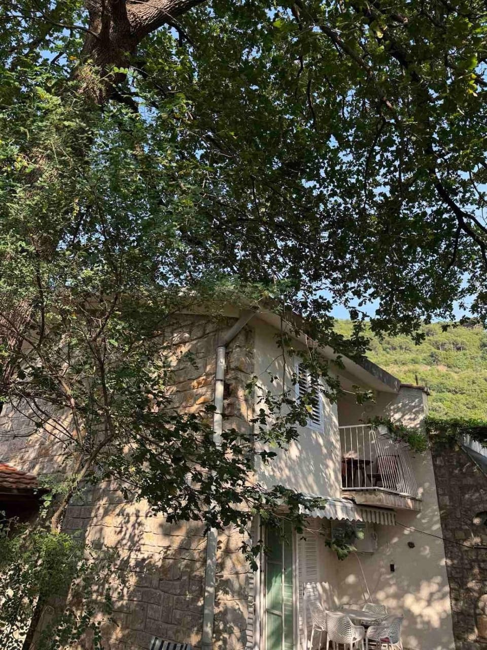 Property building, Natural landscape