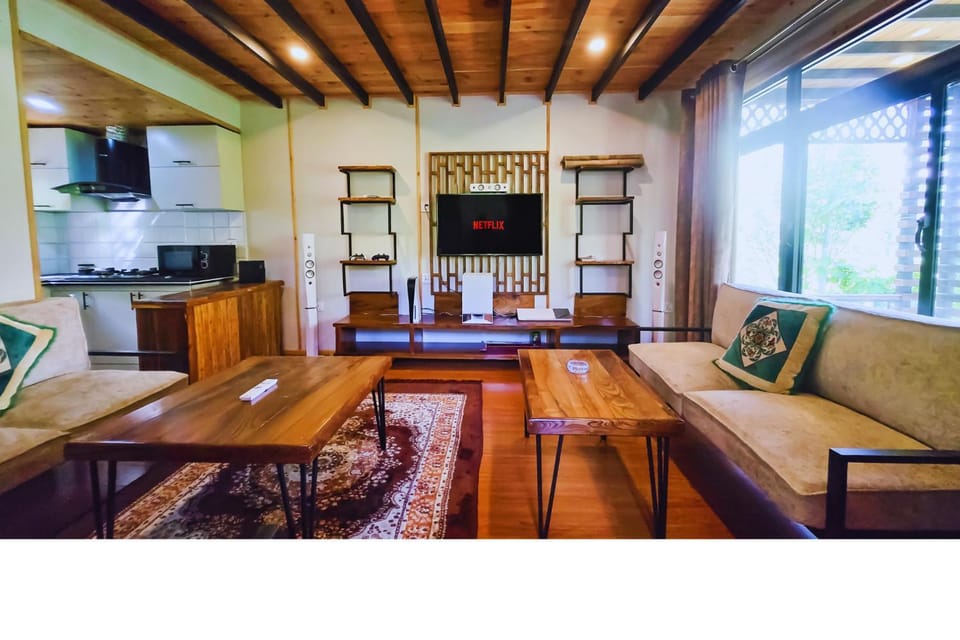 Communal lounge/ TV room, TV and multimedia, Living room