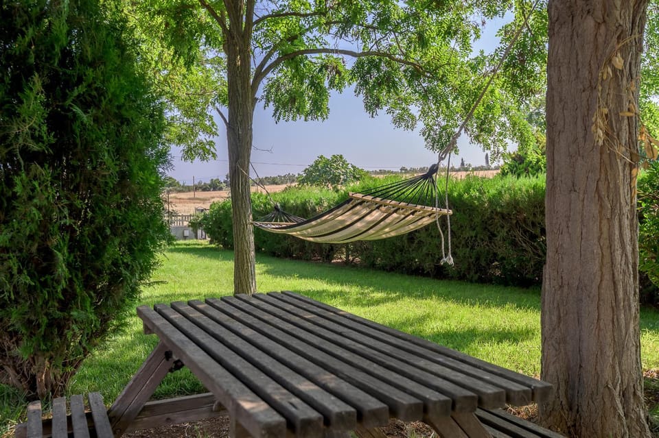 Spring, Day, Natural landscape, Summer, Garden, Garden view