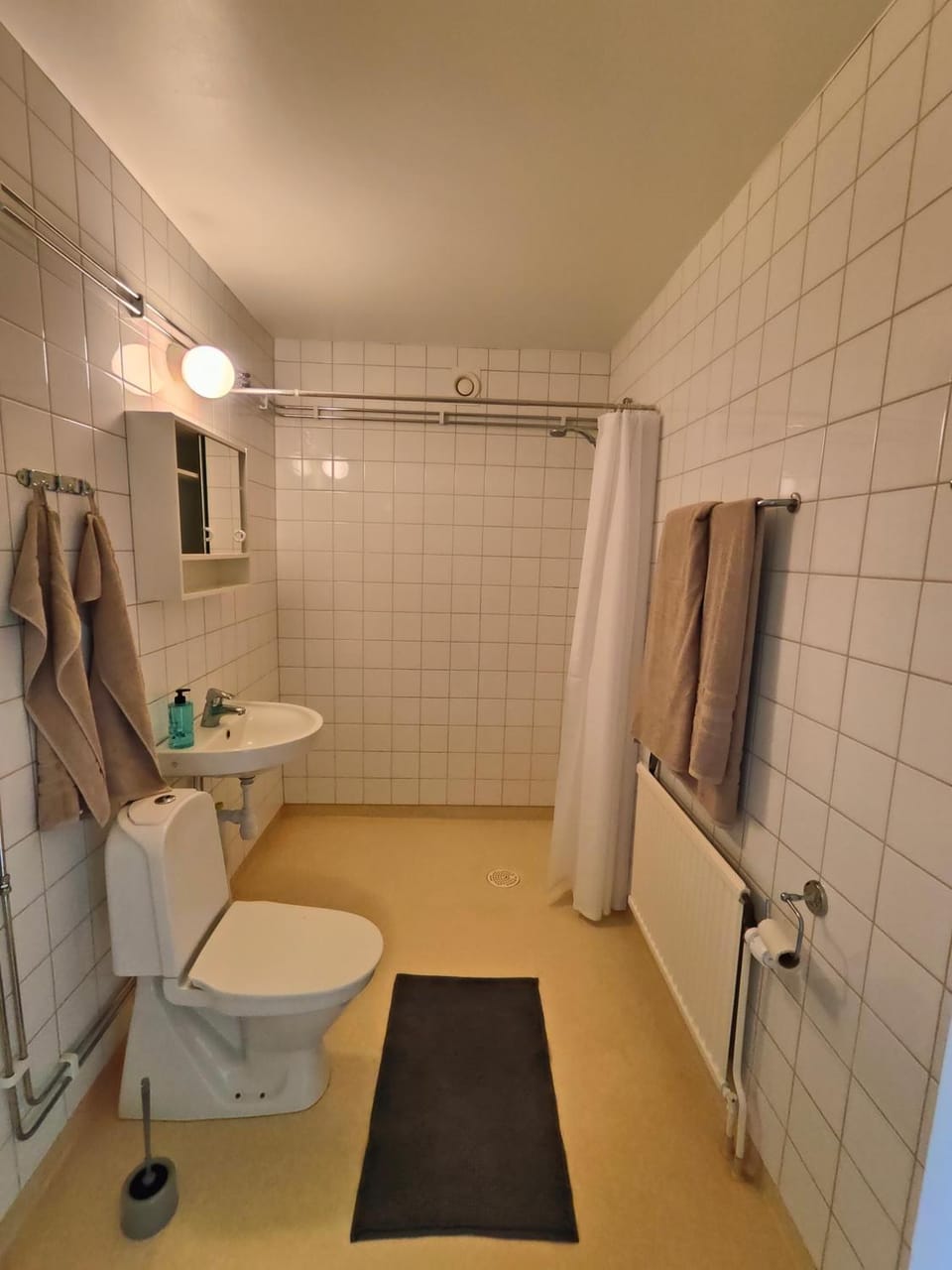 Shower, Toilet, towels