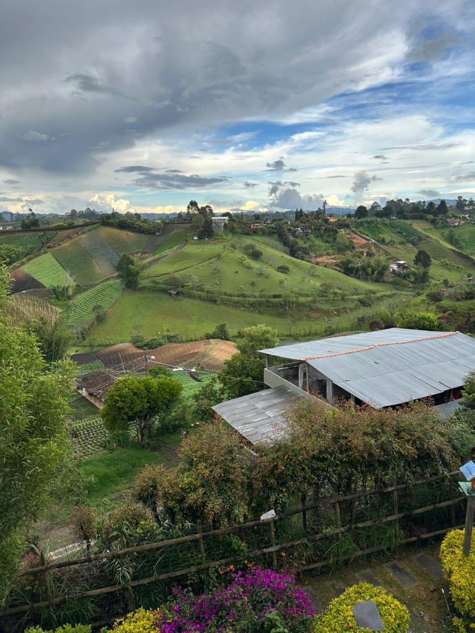 Natural landscape, Garden, Garden view