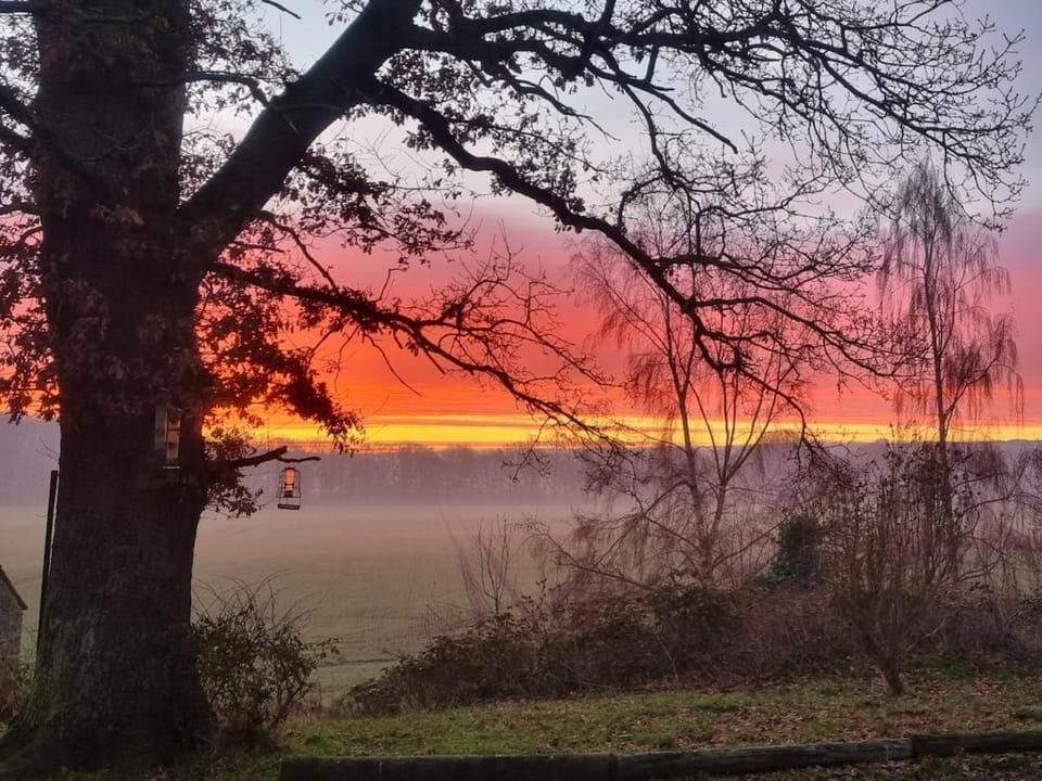 Natural landscape, Sunrise