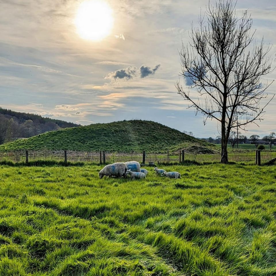 Natural landscape