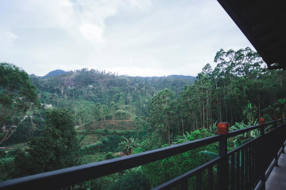 Spring, Day, Natural landscape, View (from property/room), Balcony/Terrace, Mountain view
