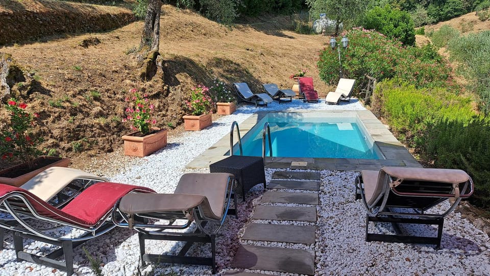 Day, Garden, Garden view, Pool view, Swimming pool, Open Air Bath, sunbed