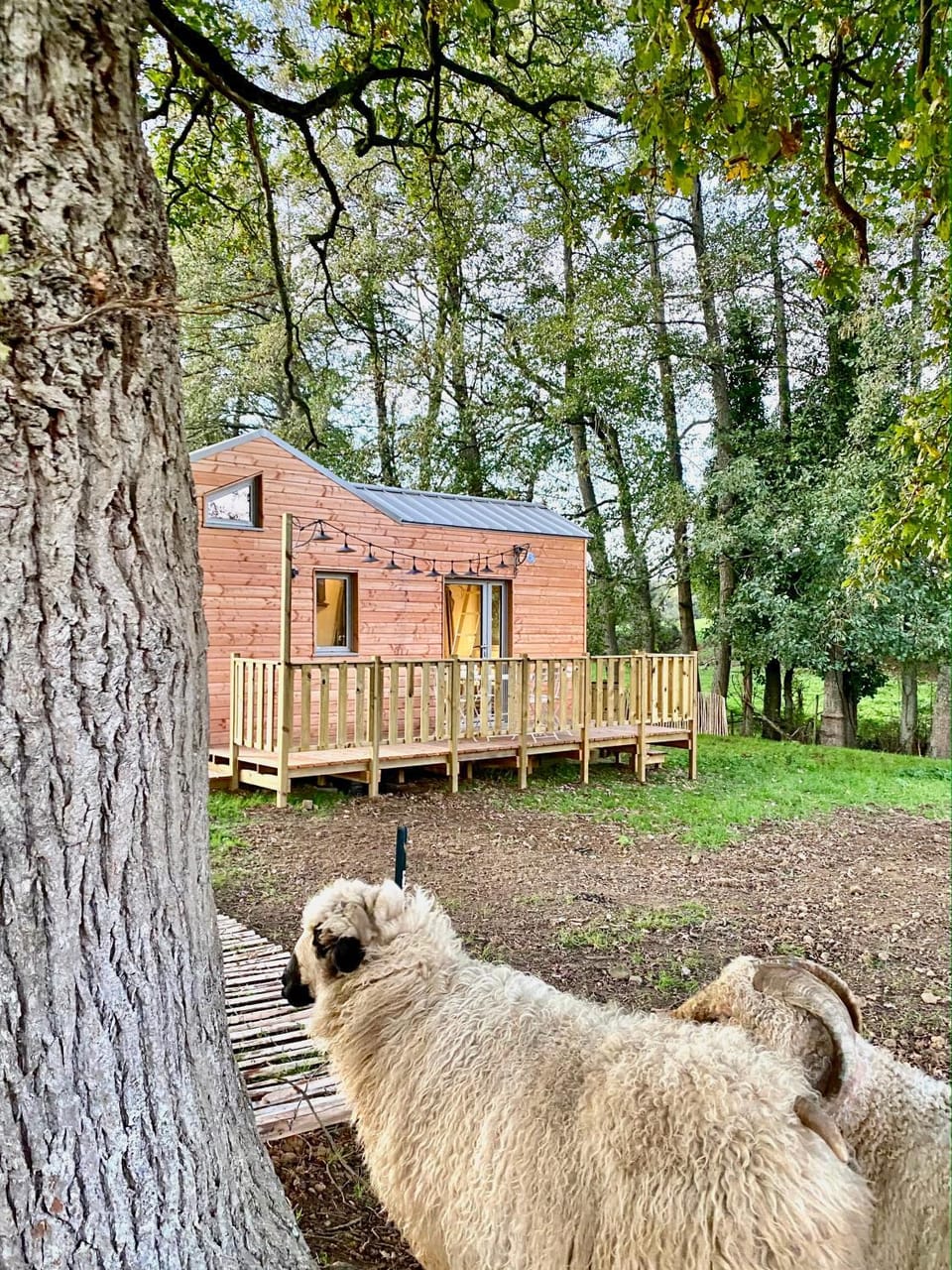 Gites De L'Etang Des Noues House in Pays de la Loire