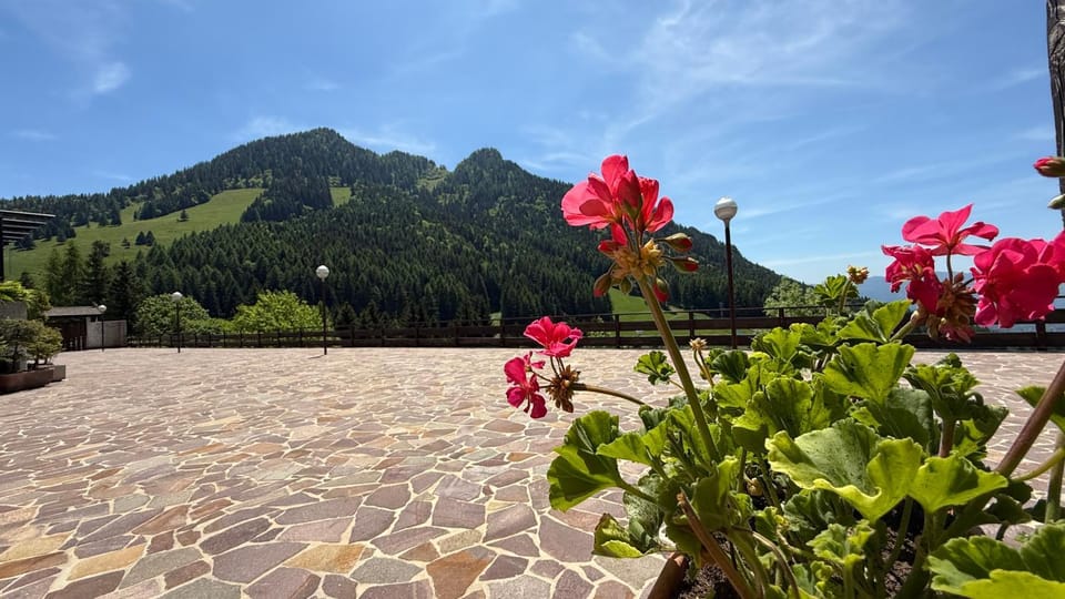 Natural landscape, Garden, Garden view