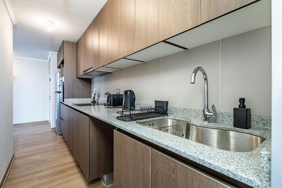 Modern and comfortable apartment Apartment in Recoleta