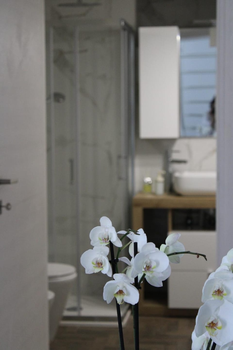 Eterea Apartment Apartment in Catania